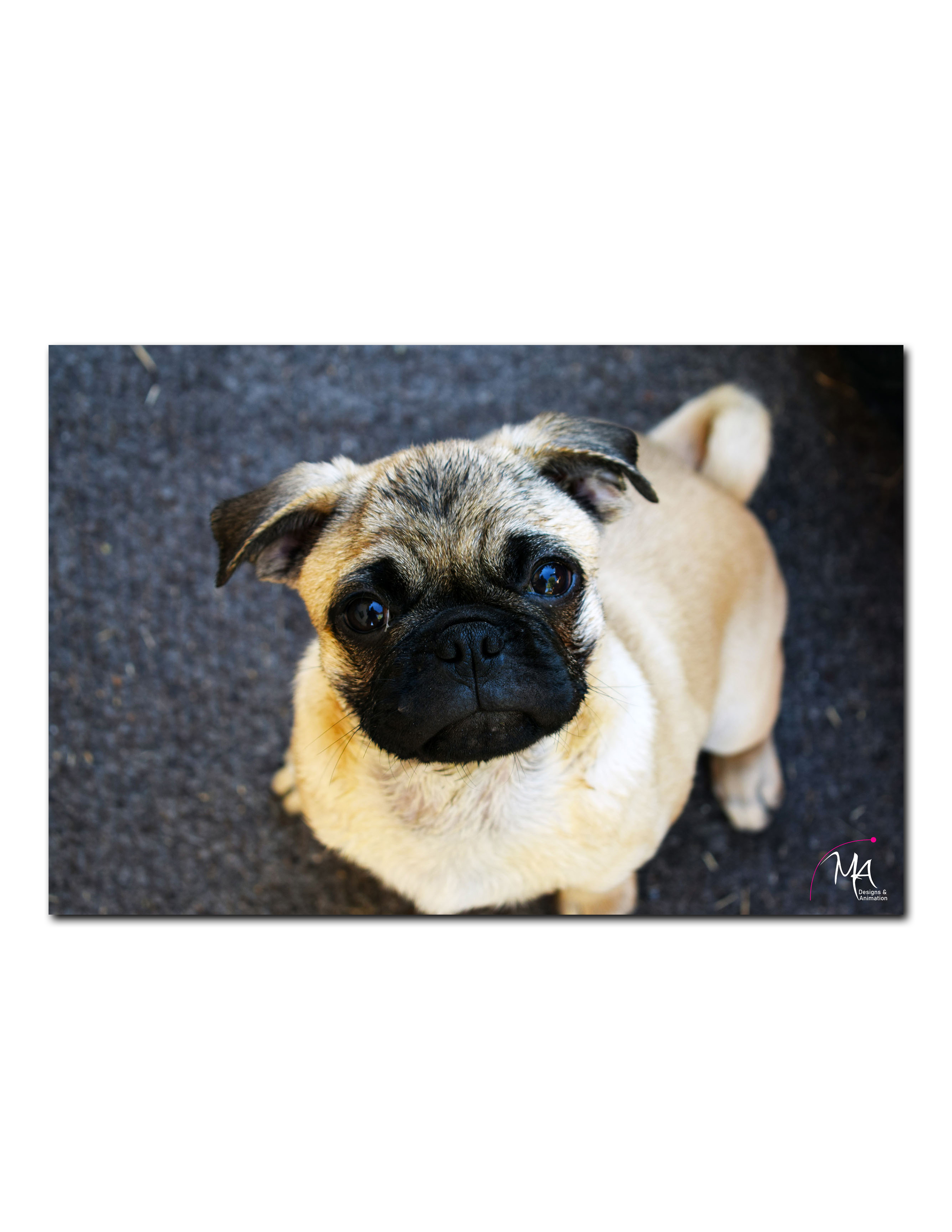 Peanut